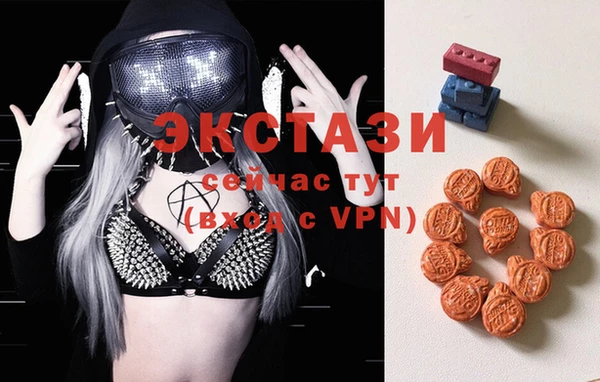 хмурый Пересвет