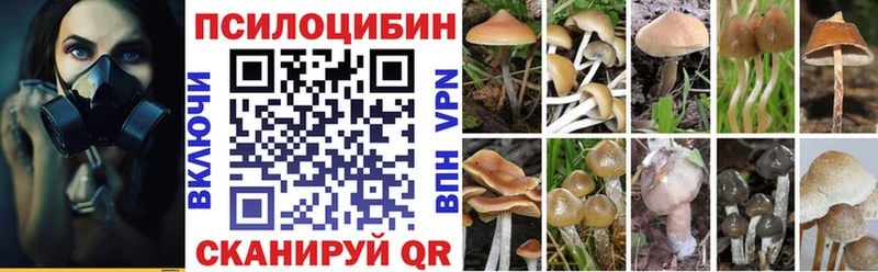 купить цена Мелеуз гидра ТОР Псилоцибиновые грибы ЛСД
