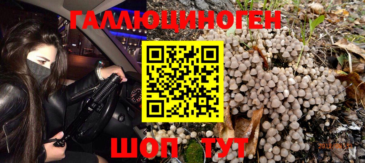 Псилоцибиновые грибы MAGIC MUSHROOMS  Вход с VPN  Мелеуз 