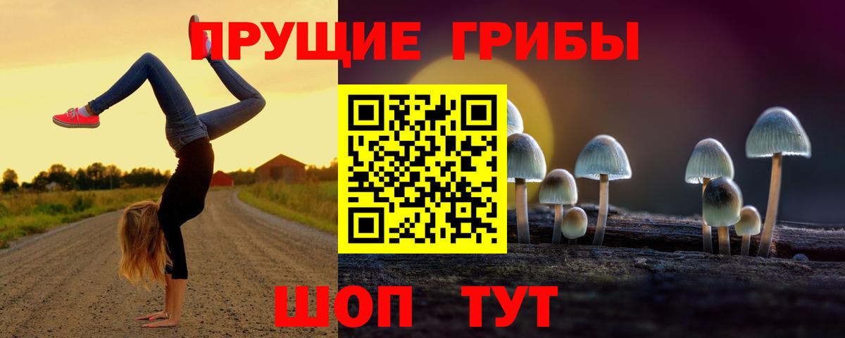 Псилоцибиновые грибы Magic Shrooms  Галлюциногенные грибы Psilocybe  даркнет сайт  Мелеуз 